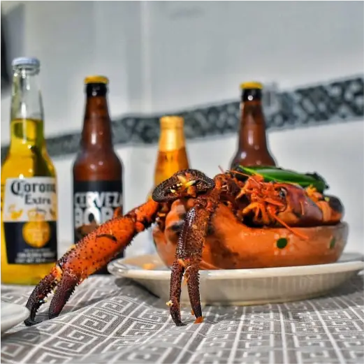Platillo de la especialidad de la casa con mariscos y langosta servido en cazuela de barro y acompañado de cervezas frías en Restaurante Moyo en Martínez de la Torre.