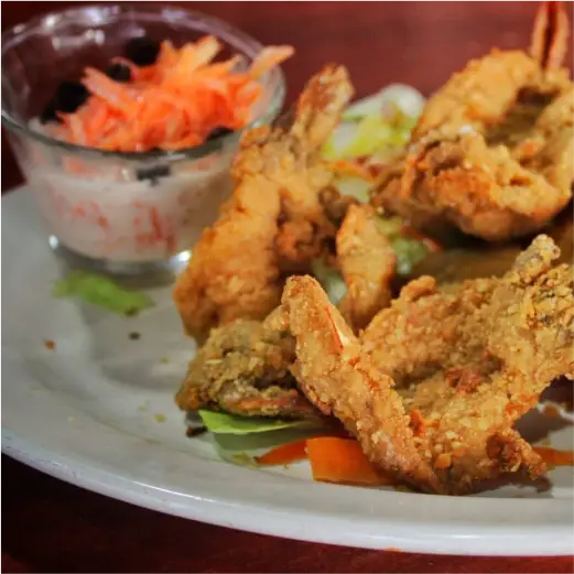Platillo de mariscos fritos crujientes con ensalada fresca en Restaurante Moyo en Martínez de la Torre.