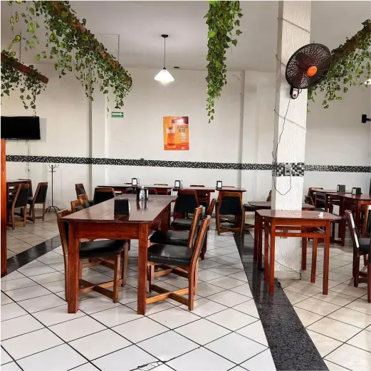 Interior del área climatizada de Restaurante Moyo en Martínez de la Torre con mesas de madera y decoración colgante.