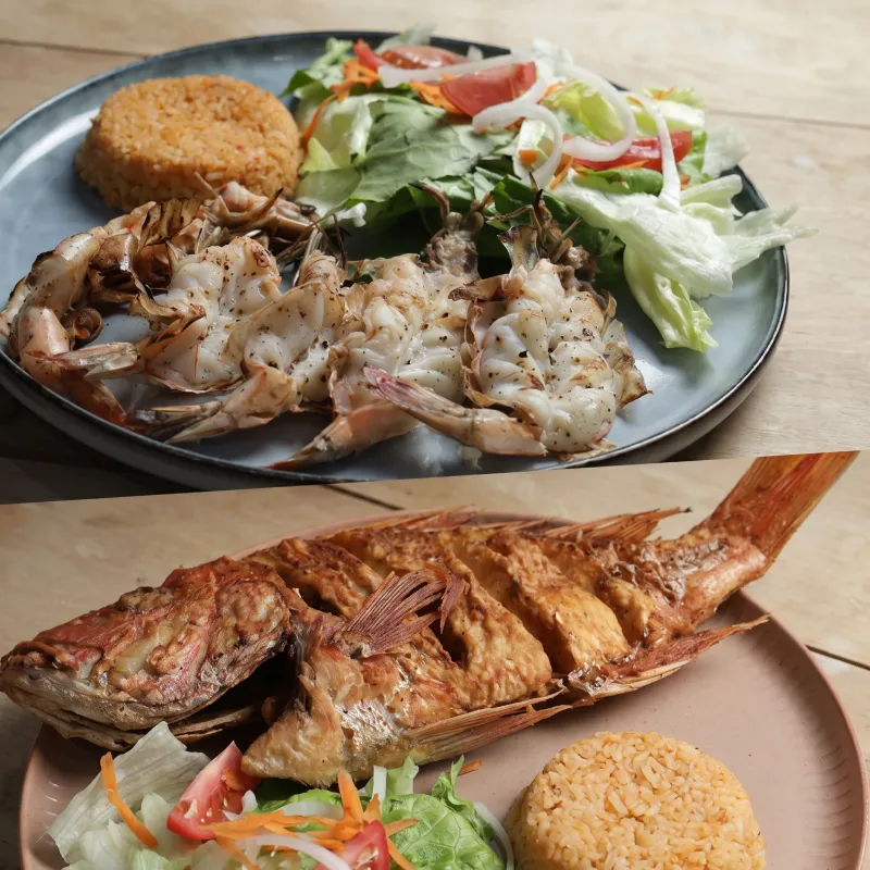 Deliciosos platillos de pescado frito entero y camarones abiertos a la plancha con arroz y ensalada fresca en Asadero Moyo, Martínez de la Torre.