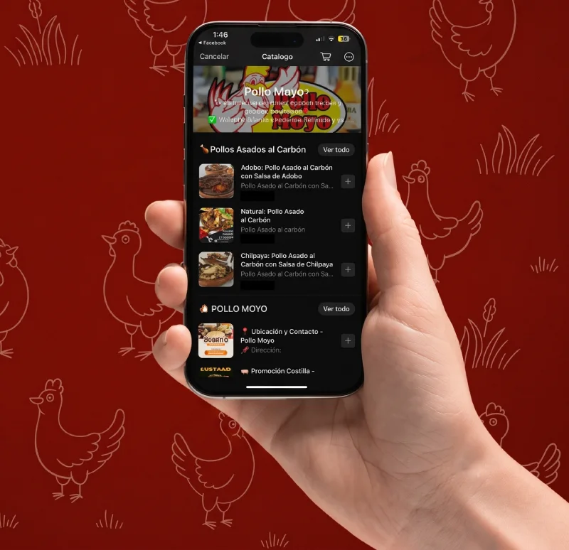 Mano sosteniendo un teléfono inteligente que muestra el catálogo digital interactivo para hacer pedidos a domicilio de pollos al carbón en Pollo Moyo, Martínez de la Torre.